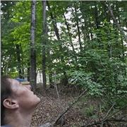 Englisch Nachhilfe für alle Altersgruppen (Kinder und Erwachsene)